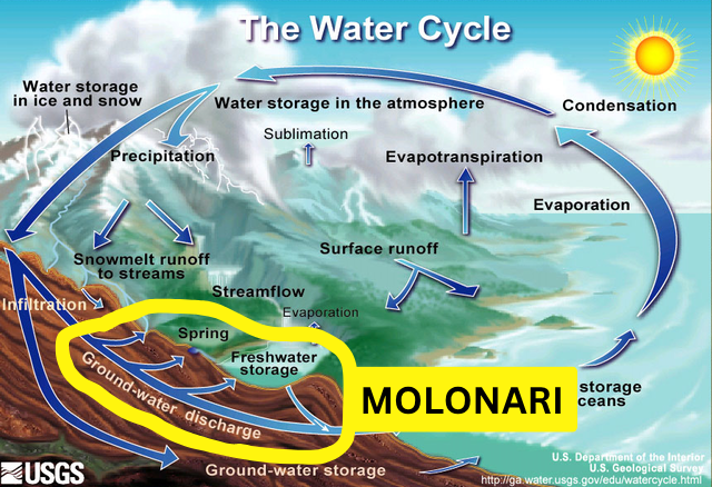 MOLONARI's scope in the water cycle: exchanges between streams and ground-water discharges